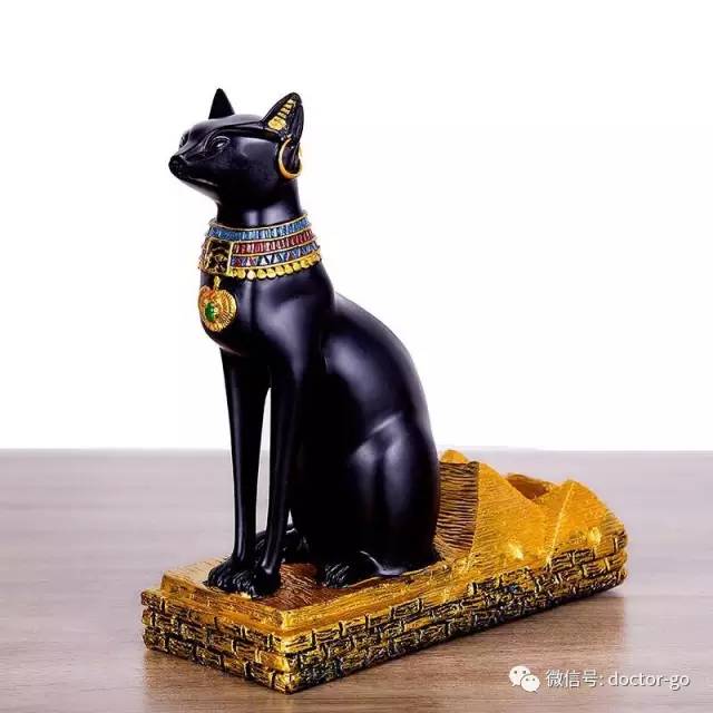 小牛喂鲸鱼奶,一天增重近两百斤!这些冷姿势,简直亮瞎眼