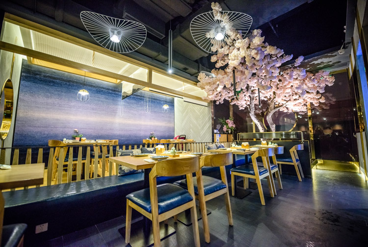 魔都赏樱打卡地,不止星