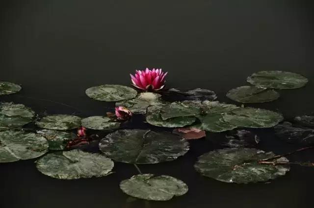 盘点北京38个森林公园,定个小目标完整版免费