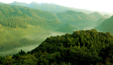 恩施森林旅游,恩施咸丰坪坝营旅游景点