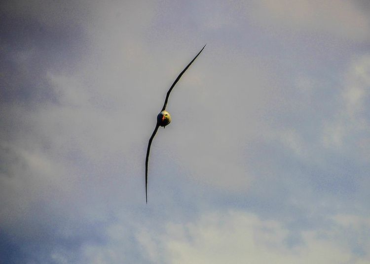 嗨哩文旅丨在世界的尽头的九个日日夜夜