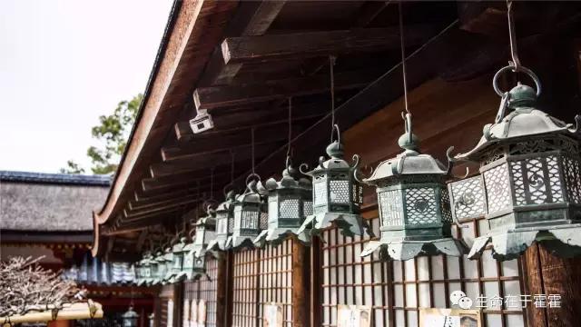 拉面 · 自动贩售机 · 雪｜云之彼岸的日本欢脱之旅