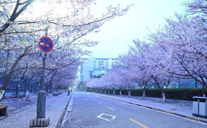 樱花限定款，一起粉出少女味｜时令