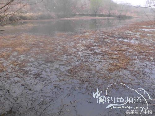 天气变化时鱼怎么不好钓,天气忽冷忽热鱼会怎么样