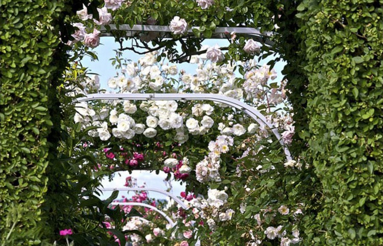 没有一款花元素珠宝你可能过了一个假春天