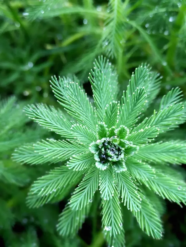 <html>
<head><title>502BadGateway</title></head>
<body>
<center><h1>502BadGateway</h1></center>
<hr><center>nginx</center>
</body>
</html>
<!--apaddingtodisableMSIEandChromefriendlyerrorpage-->
<!--apaddingtodisableMSIEandChromefriendlyerrorpage-->
<!--apaddingtodisableMSIEandChromefriendlyerrorpage-->
<!--apaddingtodisableMSIEandChromefriendlyerrorpage-->
<!--apaddingtodisableMSIEandChromefriendlyerrorpage-->
<!--apaddingtodisableMSIEandChromefriendlyerrorpage-->
