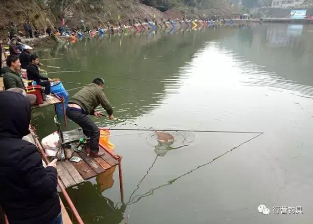 慈利县钓鱼比赛,湖南钓鱼比赛湘窖杯冠军