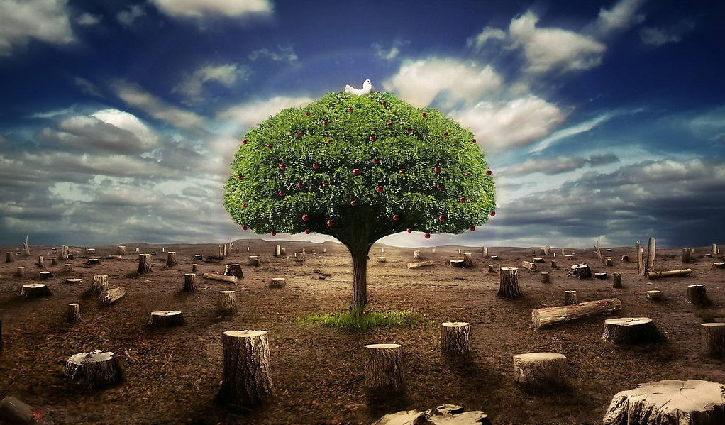 在利益面前人命不值一提,在利益面前是否该心狠