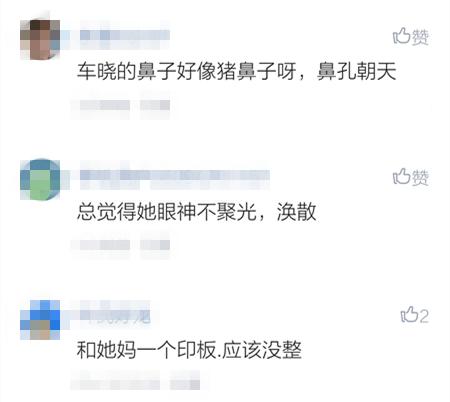 车晓鼻子现在好了吗,车晓整鼻子了吗