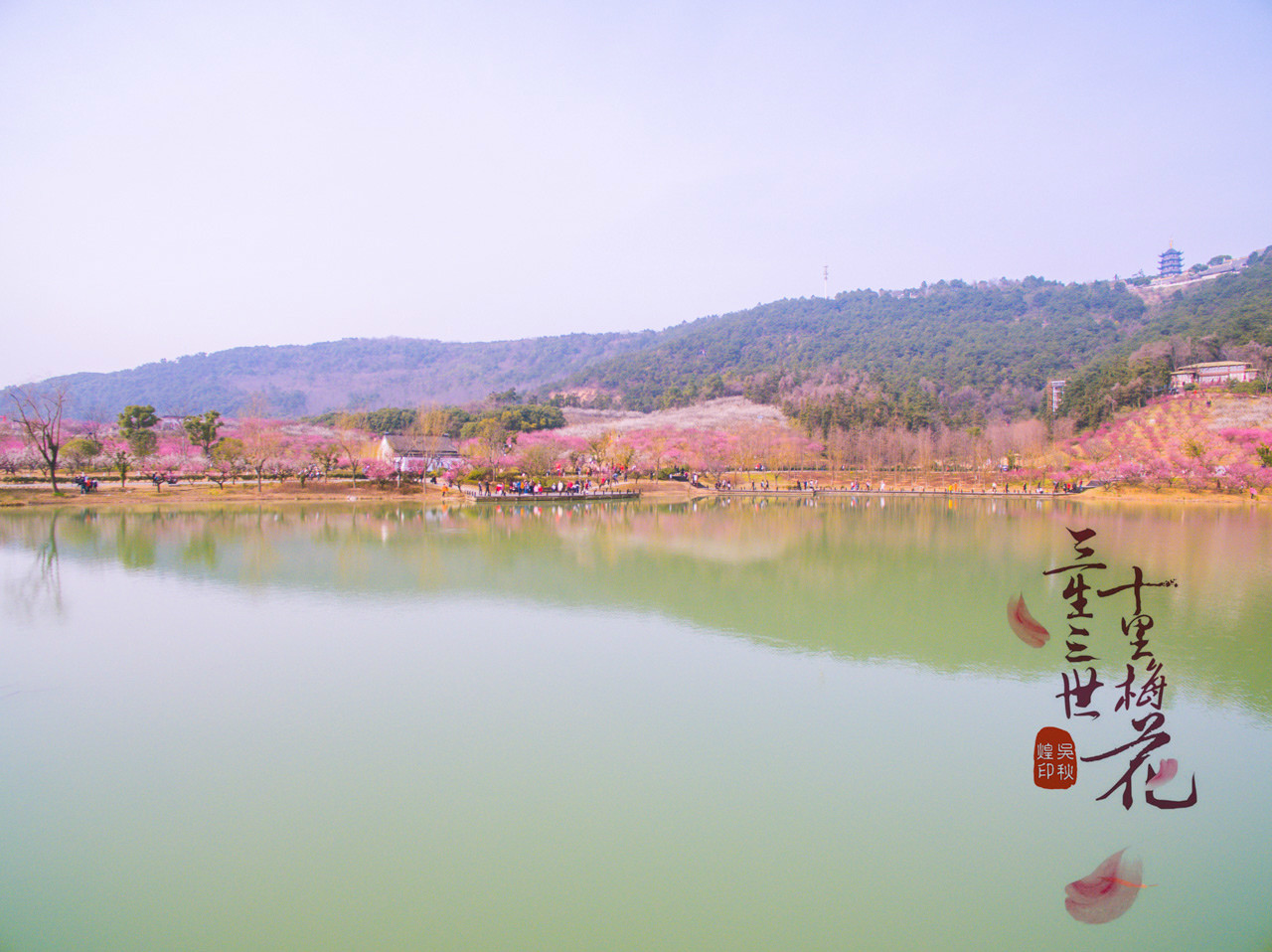 三生三世,十里梅花,遇见张家港