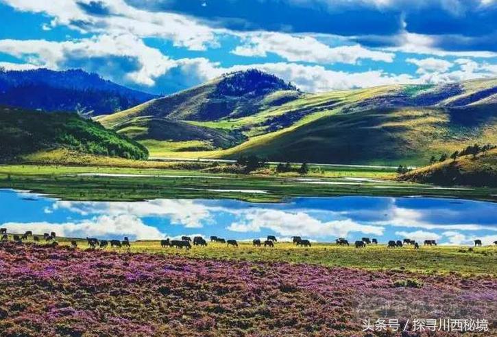 鏈ㄩ噷鐜嬪浗鏃呮父鏀荤暐,涓婂笣娓歌杩囩殑鑺卞洯