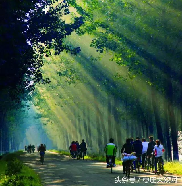 醉美滕州套餐,枣庄风景最美的景点