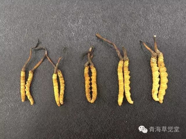 老中医讲经验分享一味好中药,中医遇到束手无策时补什么