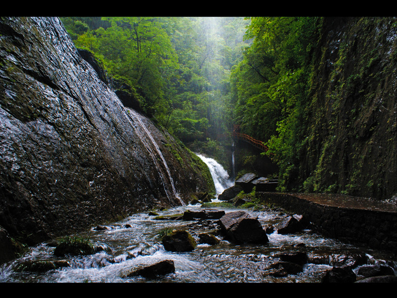 恩施森林旅游,恩施咸丰坪坝营旅游景点