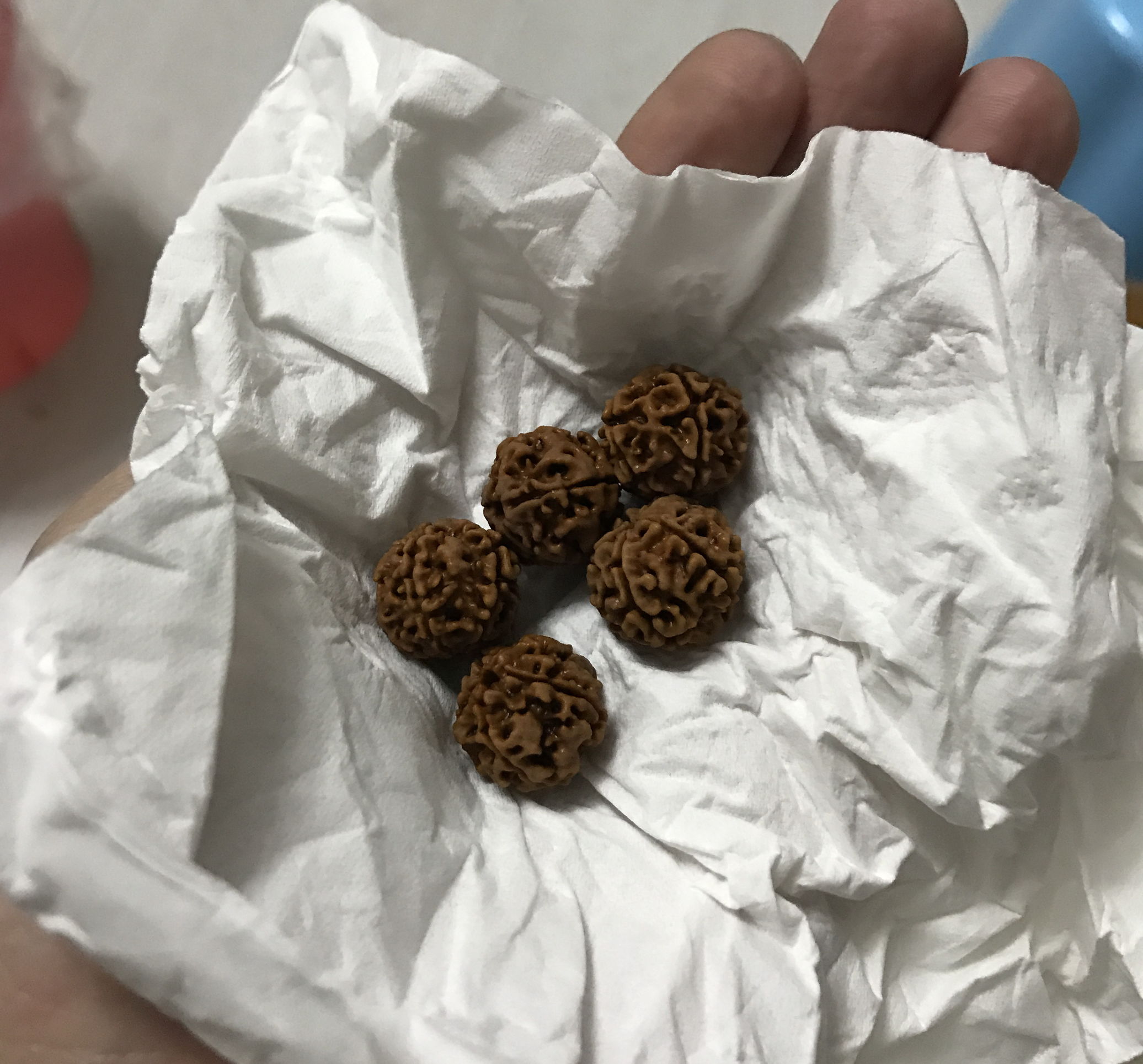 顽主解说,顽主文玩视频