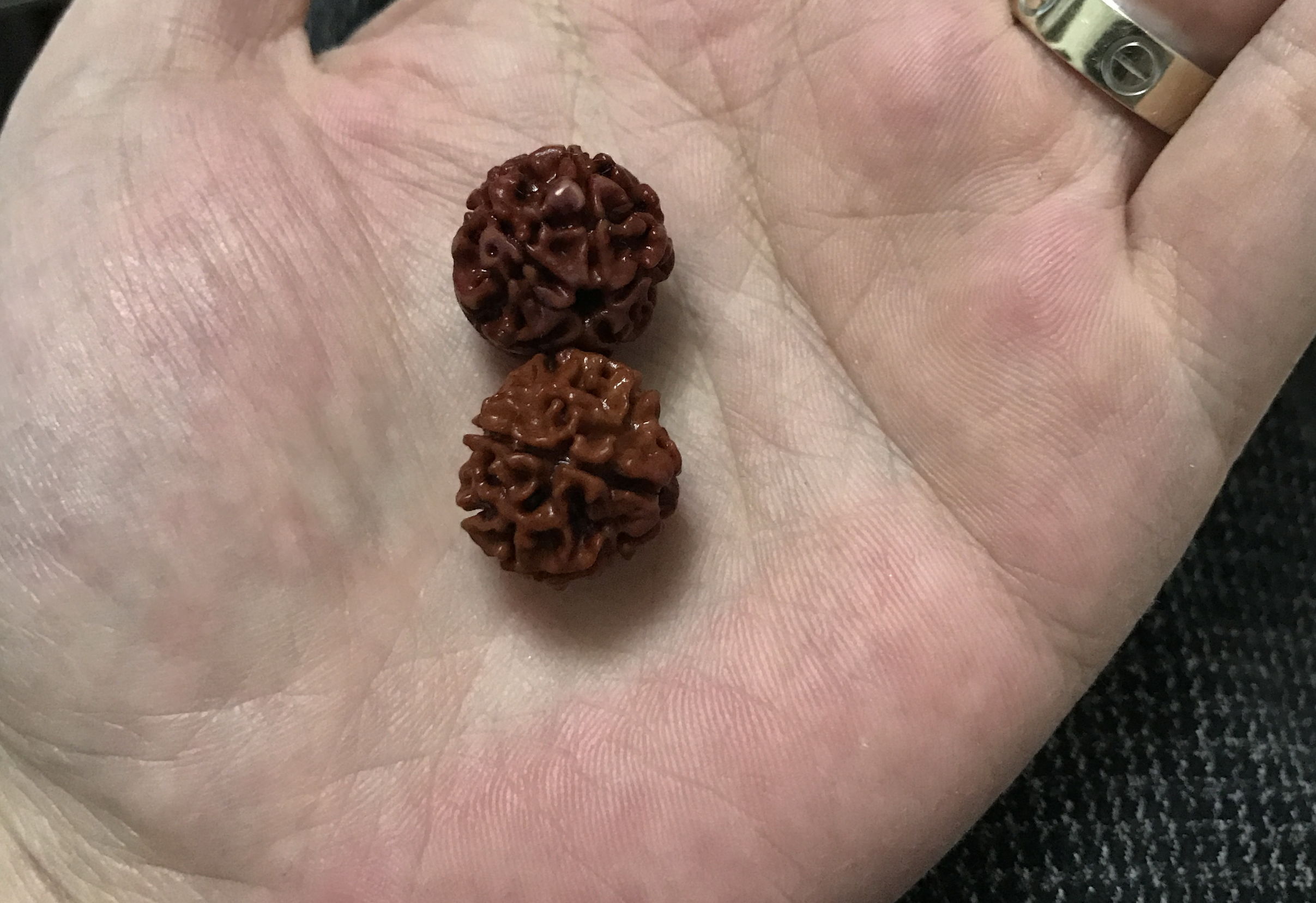 顽主解说,顽主文玩视频