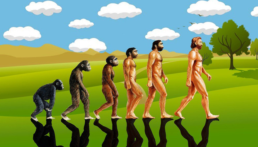 关于进化论的真相,为什么说进化论是错的