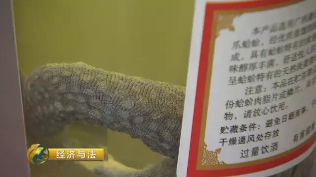 养生酒到底能不能喝,养生酒可以任性喝吗