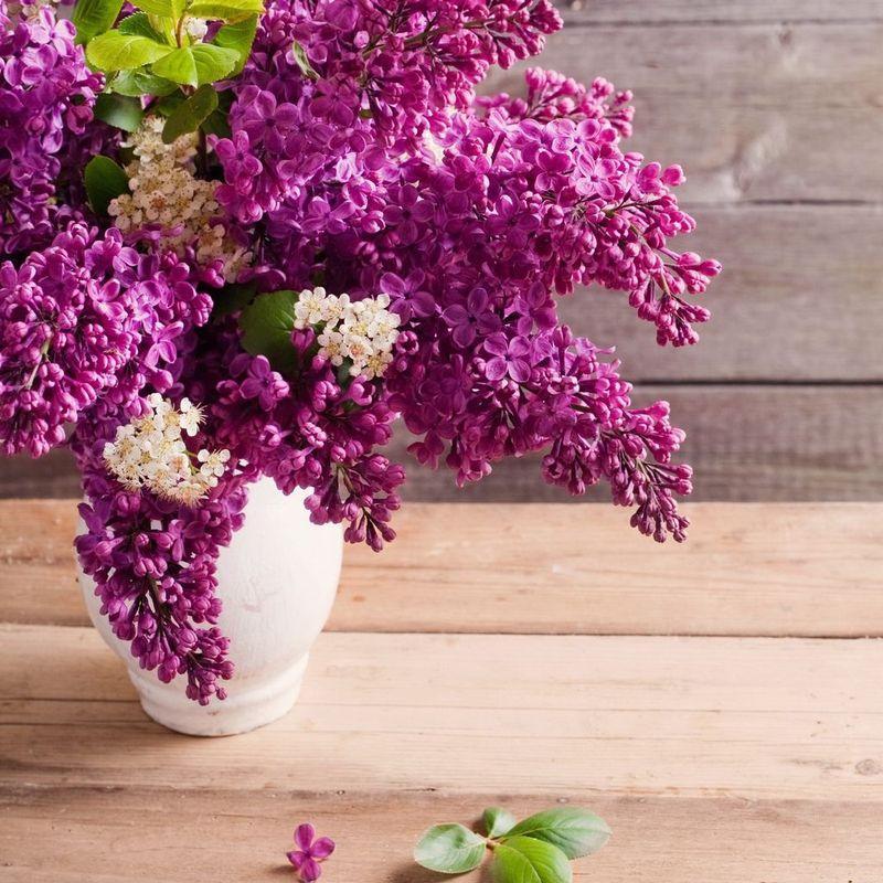 胃病三分靠治七分靠养推荐养胃茶疗法