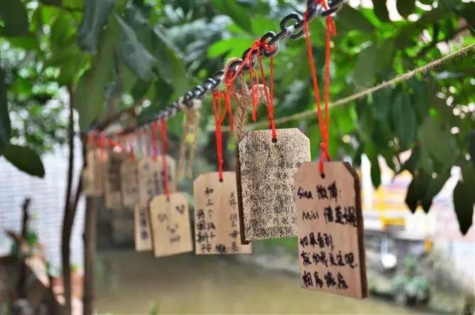 小洲村值得游的景点,小洲村吃喝玩乐攻略