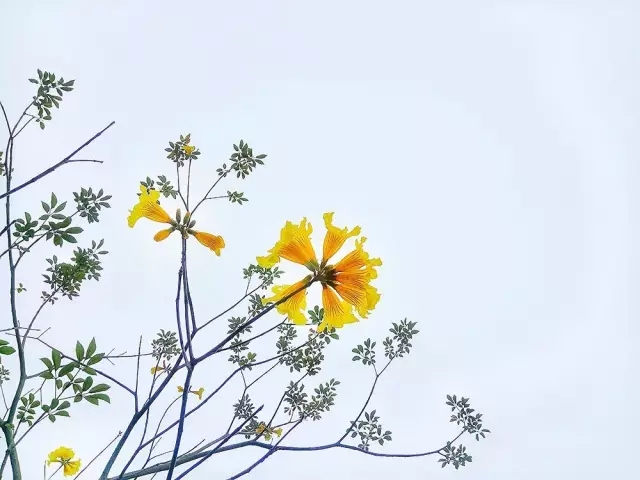 <html>
<head><title>502BadGateway</title></head>
<body>
<center><h1>502BadGateway</h1></center>
<hr><center>nginx</center>
</body>
</html>
<!--apaddingtodisableMSIEandChromefriendlyerrorpage-->
<!--apaddingtodisableMSIEandChromefriendlyerrorpage-->
<!--apaddingtodisableMSIEandChromefriendlyerrorpage-->
<!--apaddingtodisableMSIEandChromefriendlyerrorpage-->
<!--apaddingtodisableMSIEandChromefriendlyerrorpage-->
<!--apaddingtodisableMSIEandChromefriendlyerrorpage-->
