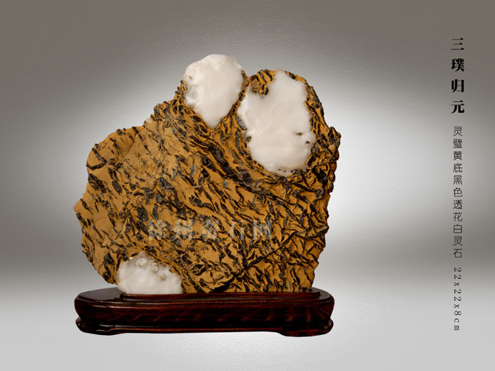 价值1亿以上的灵璧奇石,灵璧石甲天下奇石图片