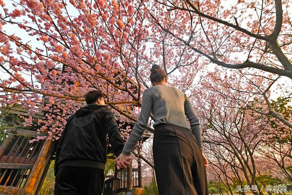 太湖唯美浪漫,无锡太湖最美的时光