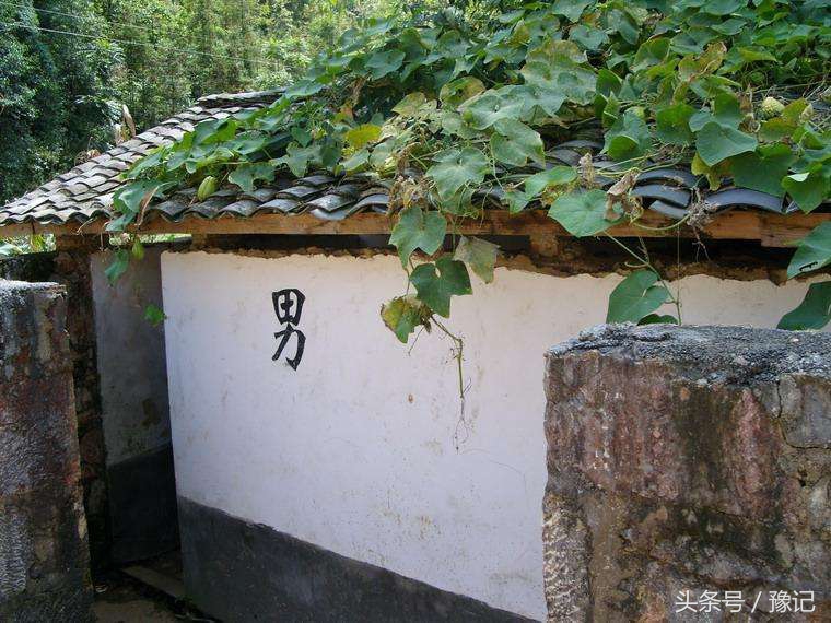 一间农村厕所，咋就能吓走一批城市娃？