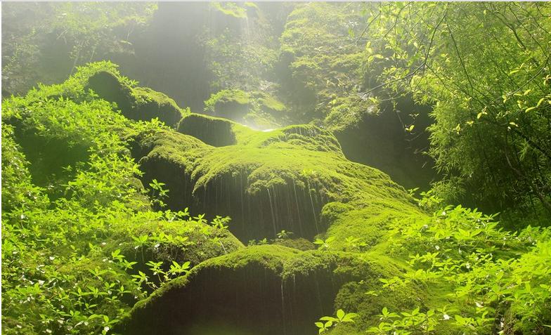 恩施利川石林旅游景点,恩施观音峡旅游攻略