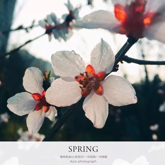 <html>
<head><title>502BadGateway</title></head>
<body>
<center><h1>502BadGateway</h1></center>
<hr><center>nginx</center>
</body>
</html>
<!--apaddingtodisableMSIEandChromefriendlyerrorpage-->
<!--apaddingtodisableMSIEandChromefriendlyerrorpage-->
<!--apaddingtodisableMSIEandChromefriendlyerrorpage-->
<!--apaddingtodisableMSIEandChromefriendlyerrorpage-->
<!--apaddingtodisableMSIEandChromefriendlyerrorpage-->
<!--apaddingtodisableMSIEandChromefriendlyerrorpage-->
