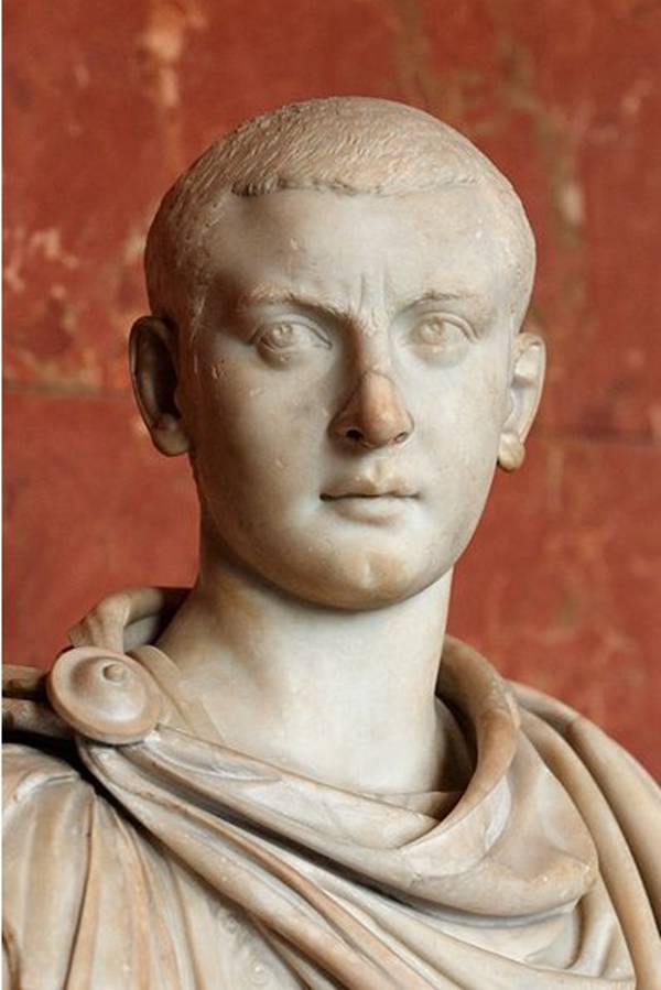 每日花语：3月22日锦葵-同日之星张梓琳（图）