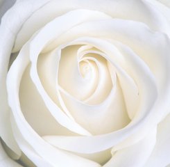 白带增多、血性白带，查体发现宫颈糜烂，你必需要治疗了！