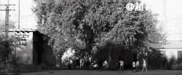 中*歌国**坛的“请回答1994”：他们都老了吧，他们在哪里呀？