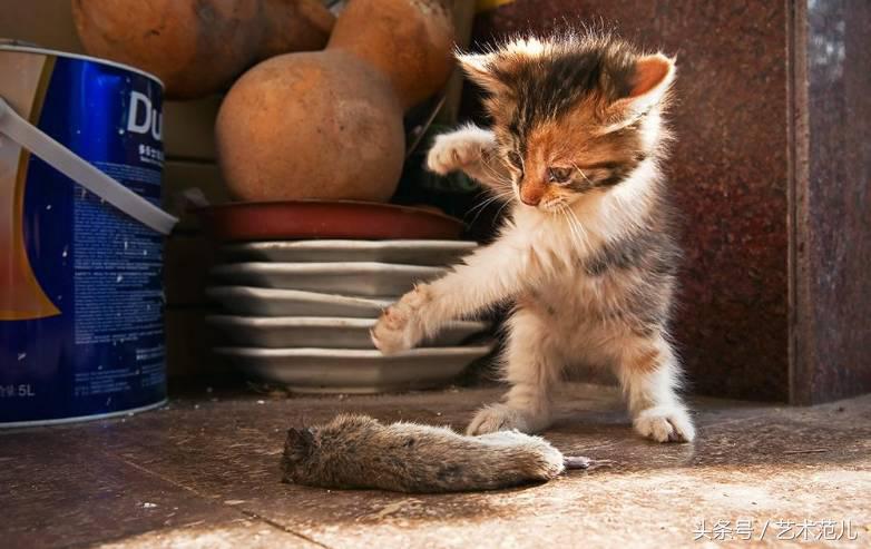 国足赢了教练反应,国足赢了教练的反应