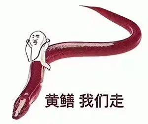 国足最不可思议的五大瞬间,揭秘国足五大高光时刻