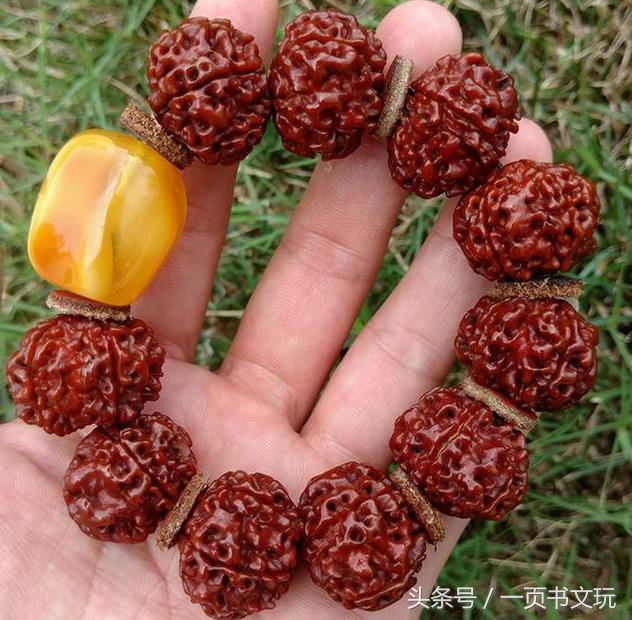 金刚菩提多盘好还是多刷好,金刚菩提要如何盘刷