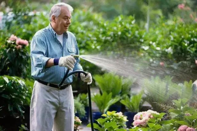 老年人耳鸣最好的治疗方法,老年人耳鸣听力下降能治愈吗