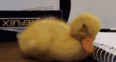 男女主人正在卿卿我我，狗狗一个嘴下来，又是一个措手不及