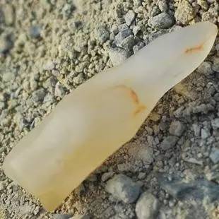 宝石光的三生三世你都知道了吗？