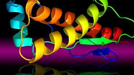 如何解除体内的朊病毒之毒？