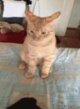 干货推荐国货护肤品,干货护肤推荐