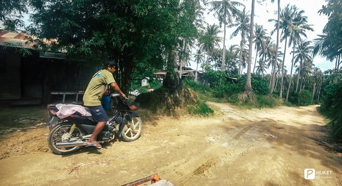 每当海岛又下起了雨,每当海岛又下起了雨读书笔记