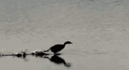 gif动图快捷指令教程,用gif怎样做彩色动图详细教程