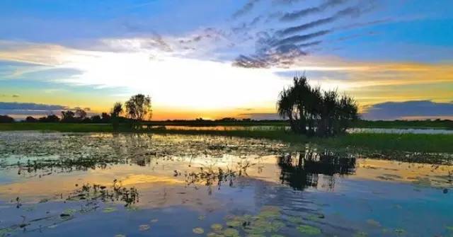 别去韩国了，去了天津，就等于去了全世界，不信你看！