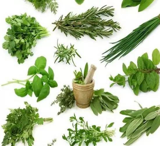 三月的味道，霞浦的野味正当时，给你的味蕾放个假