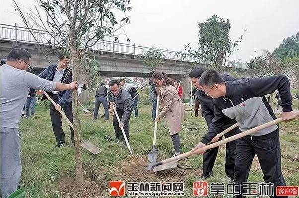 玉林至昆明高铁时刻表,玉林到昆明高铁在哪里换乘方便