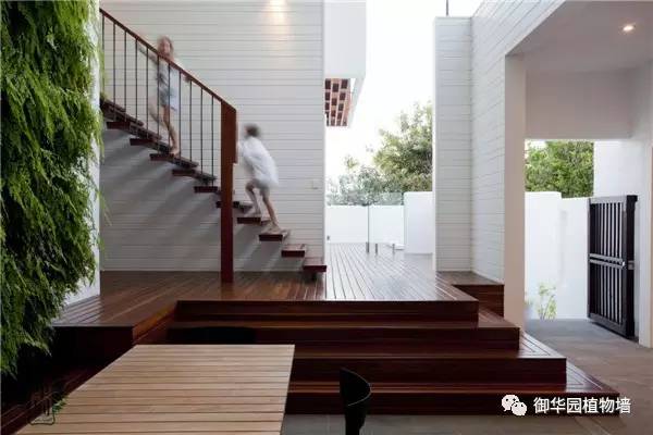 禅意风植物墙,特色植物墙