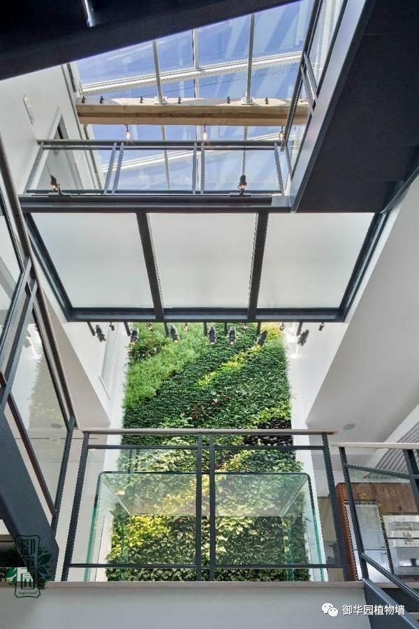 禅意风植物墙,特色植物墙