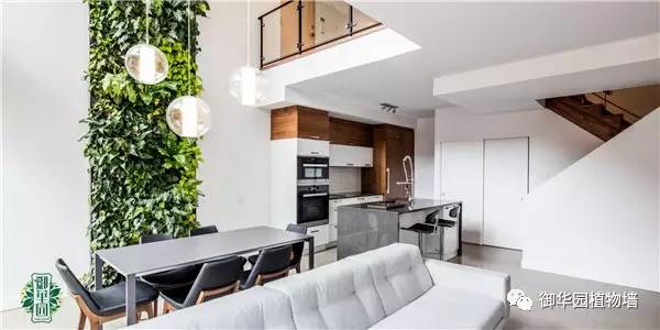 禅意风植物墙,特色植物墙