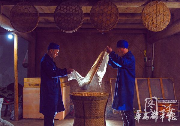 4万颗芽头制一斤春茶他坚守了30年